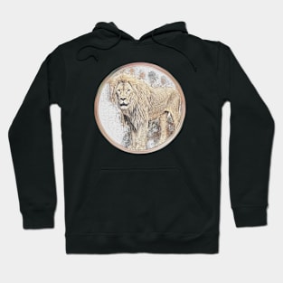 Lion Wild Animal Safari Africa Jungle Feline Hoodie